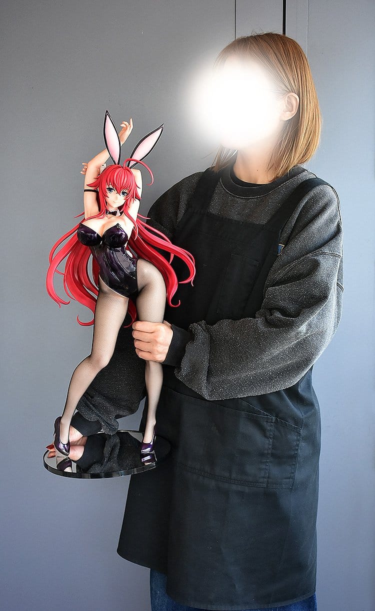 Rias Gremory: Bunny Ver. High School DxD Hero FREEing
