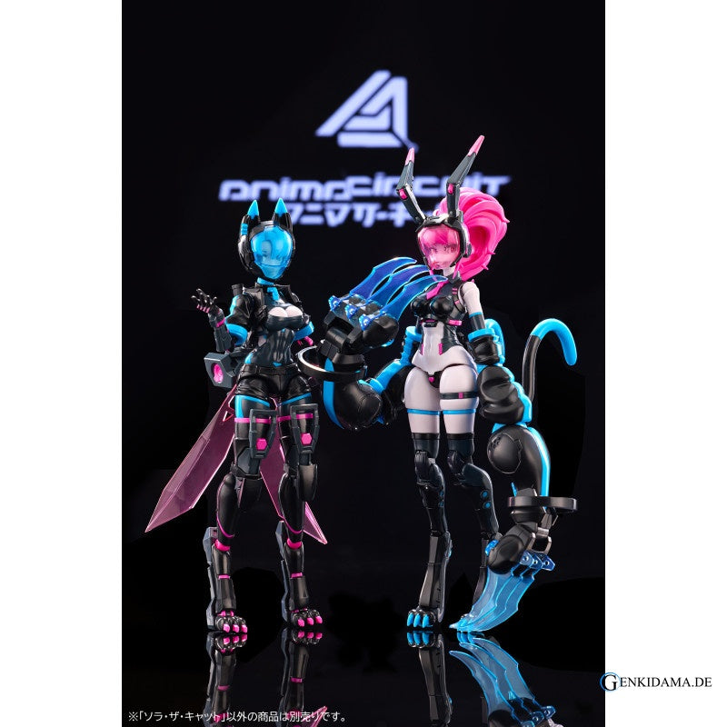 Animacircuit Sora the Cat Sp 1/12 Scale Plastic Model [Dongguanshi Zhuo Jiang] Ansicht 15