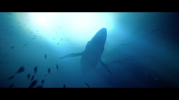 Under The Waves Deluxe Edition