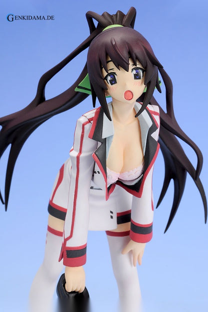Staind Series #2 Infinite Stratos Houki Shinonono