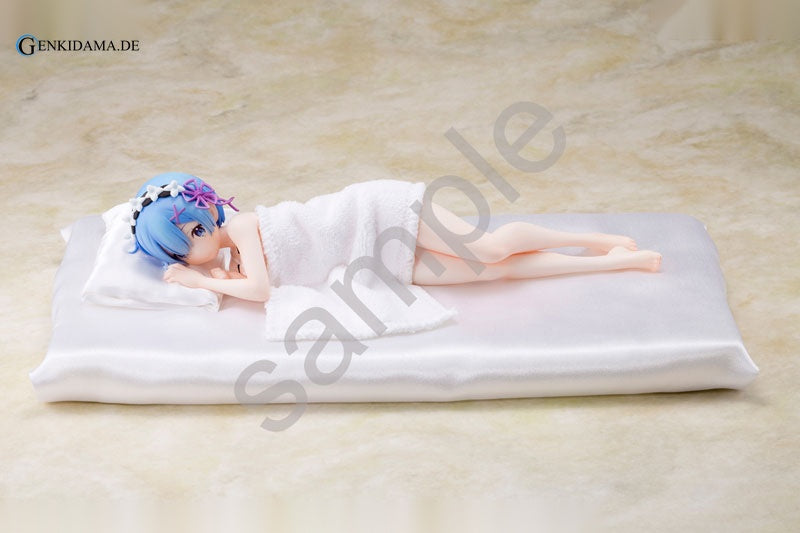 Re:ZERO -Starting Life in Another World- Rem Sleep Sharing Ver.