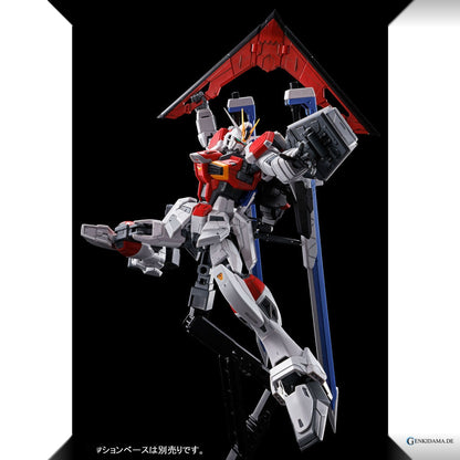 RG 1/144 Sword Impulse Gundam Plastic Model
