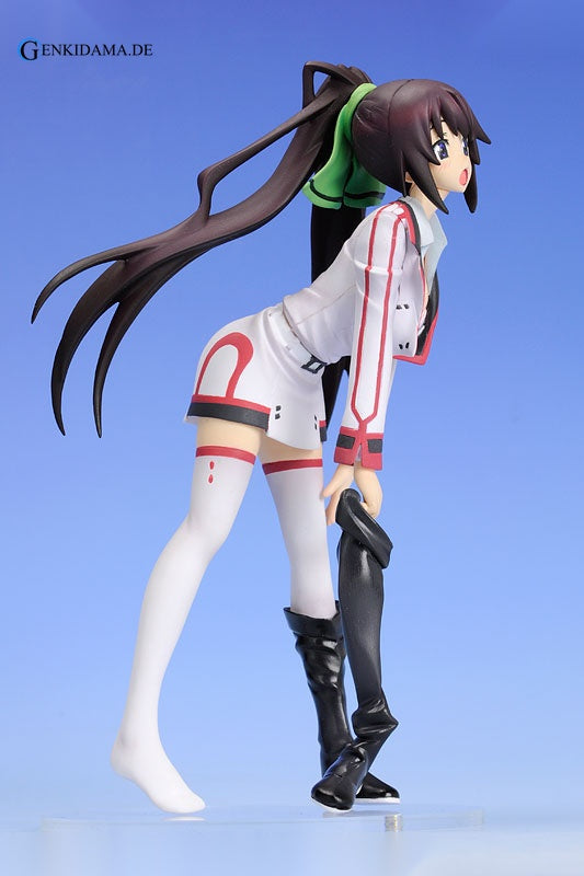 Staind Series #2 Infinite Stratos Houki Shinonono