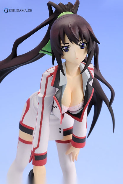 Staind Series #2 Infinite Stratos Houki Shinonono
