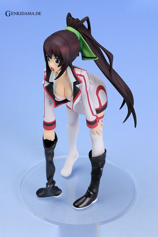 Staind Series #2 Infinite Stratos Houki Shinonono