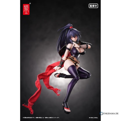 RPGEX-10 Kunoichi Reppu 1/12 Scale Action Figure Ansicht 12