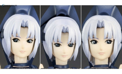 RAcaseal Shino Ver.APSY (Plastic model)