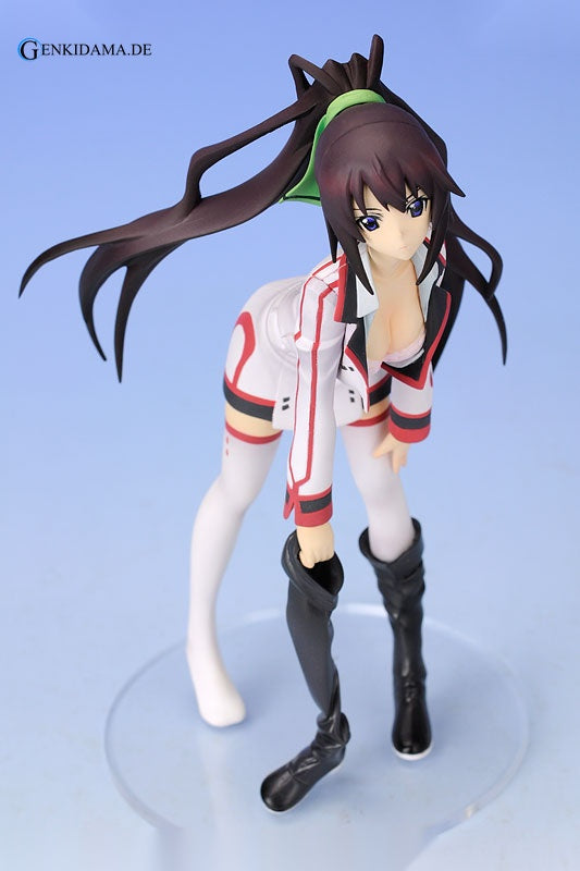Staind Series #2 Infinite Stratos Houki Shinonono