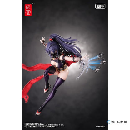 RPGEX-10 Kunoichi Reppu 1/12 Scale Action Figure Ansicht 5