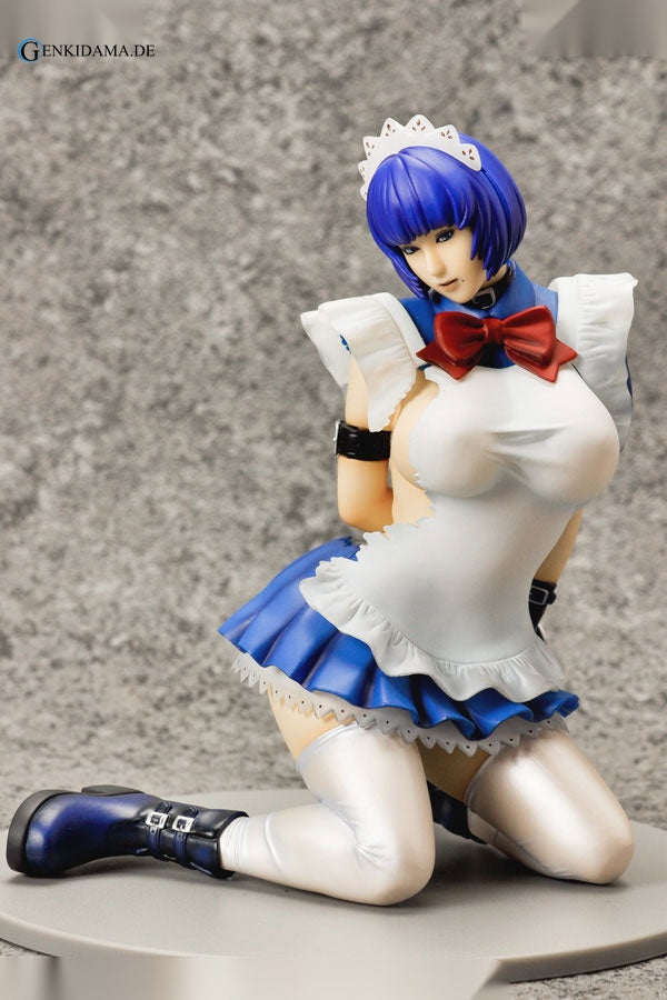 Real Arrange 002 Ikkitousen GG - Shimei Ryomou Regular Edition