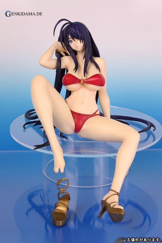 Ikkitousen DD - Unchou Kan-u -Summer Vacation