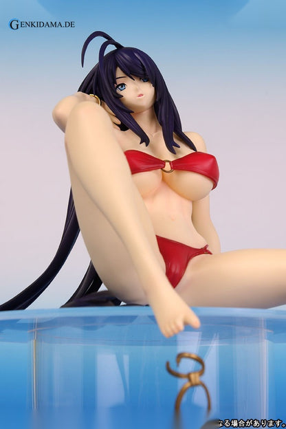 Ikkitousen DD - Unchou Kan-u -Summer Vacation