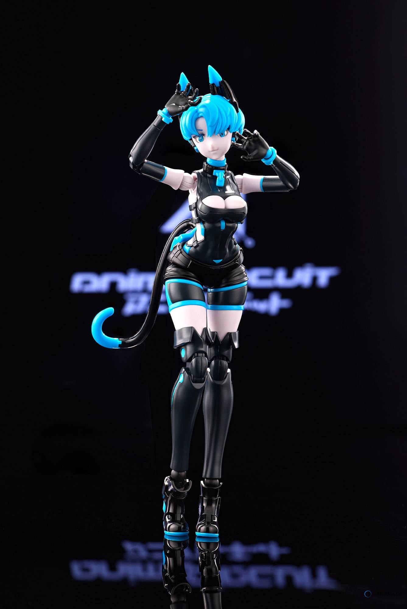 Action Figure: Anima Circuit - Sora the Cat SP 1/12 (Plastic Model)