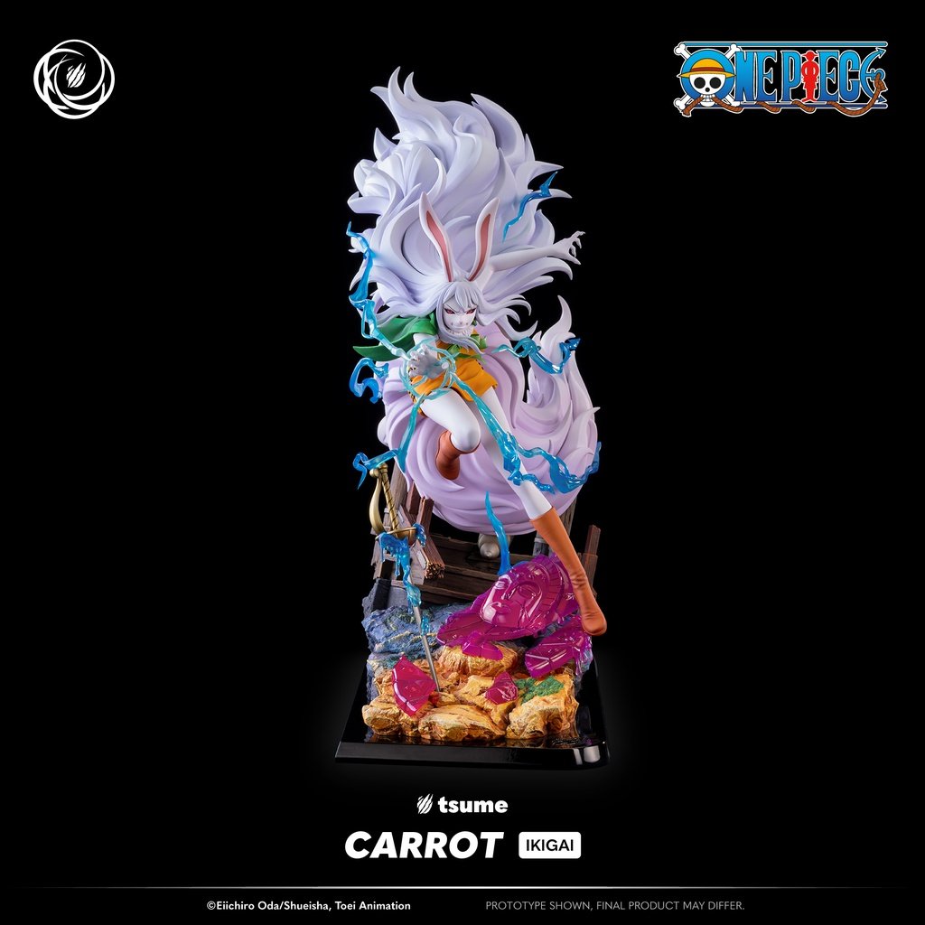 Carrot Ikigai One Piece