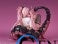 Nikukan Shoujo Dragon Girl Tiamat (1/6 Scale)