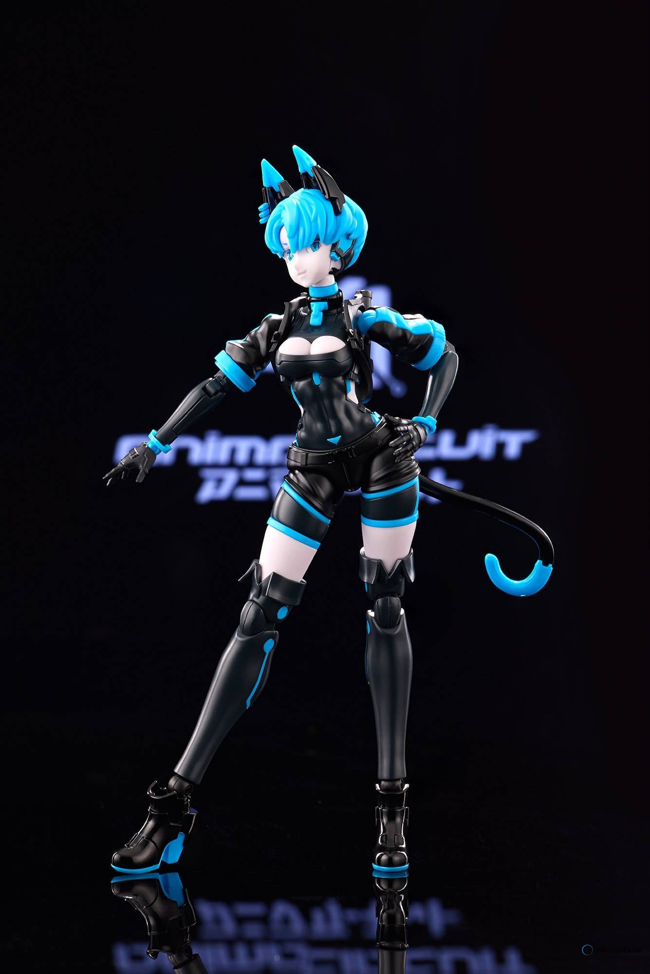 Action Figure: Anima Circuit - Sora the Cat SP 1/12 (Plastic Model)