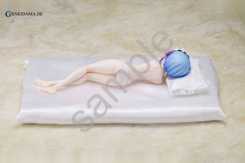 Re:ZERO -Starting Life in Another World- Rem Sleep Sharing Ver.