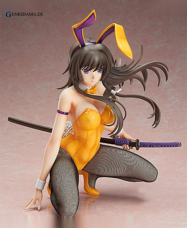 Alternative Total Eclipse - Yui Takamura Bunny Ver.