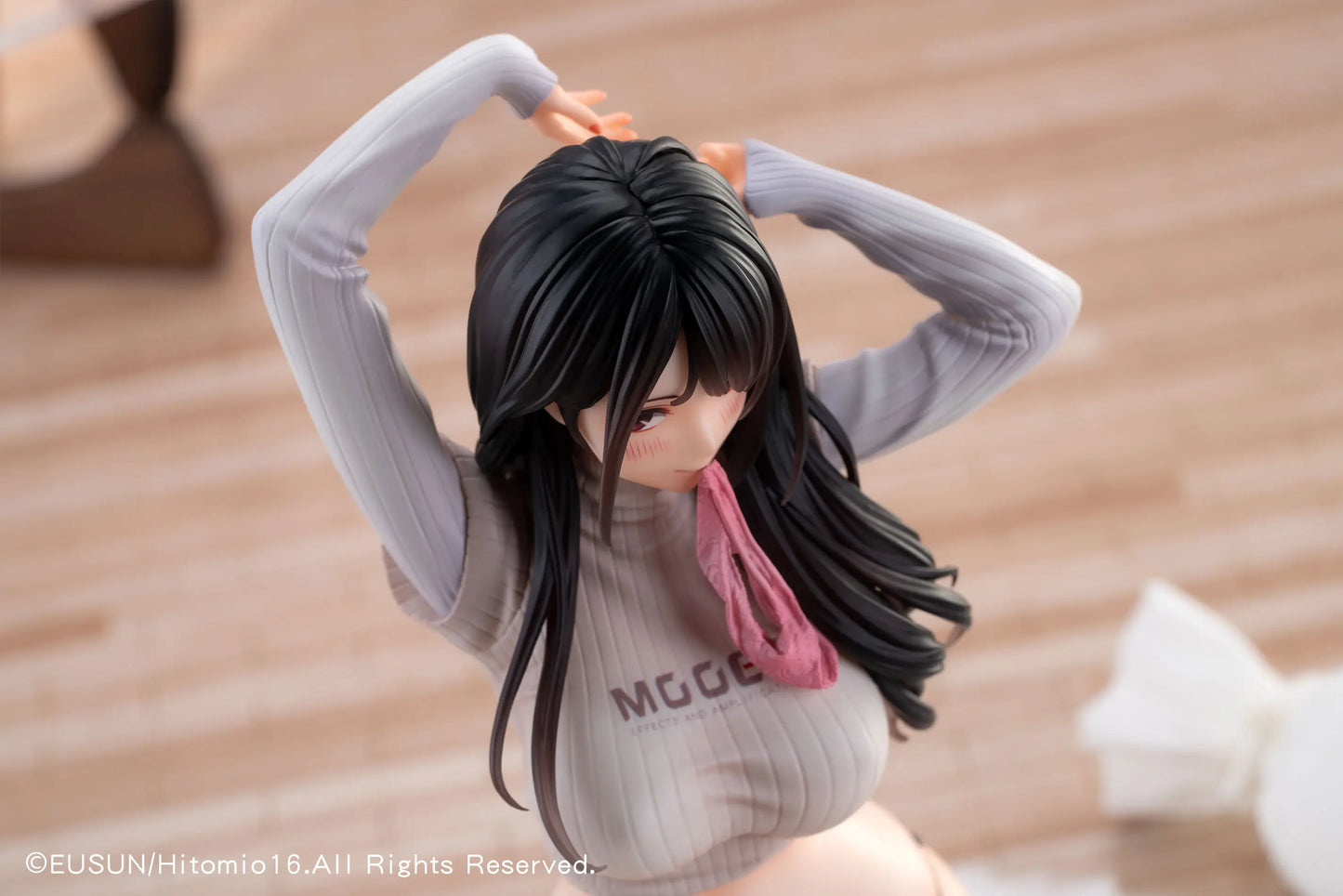 Hitomio DX Edition Eusun