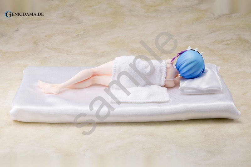 Re:ZERO -Starting Life in Another World- Rem Sleep Sharing Ver.