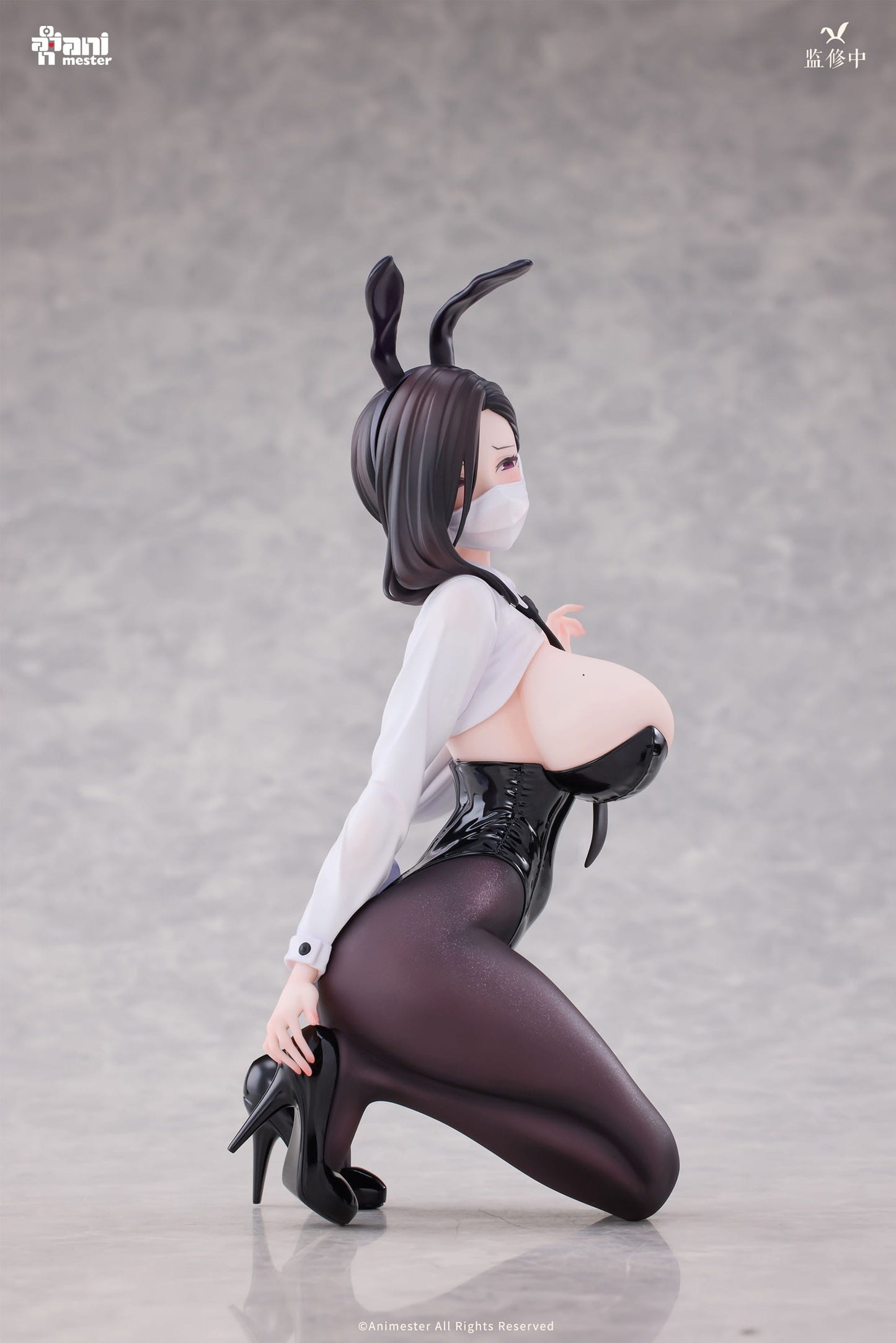 Dongtan Bunny Girl Original Character AnimMeser