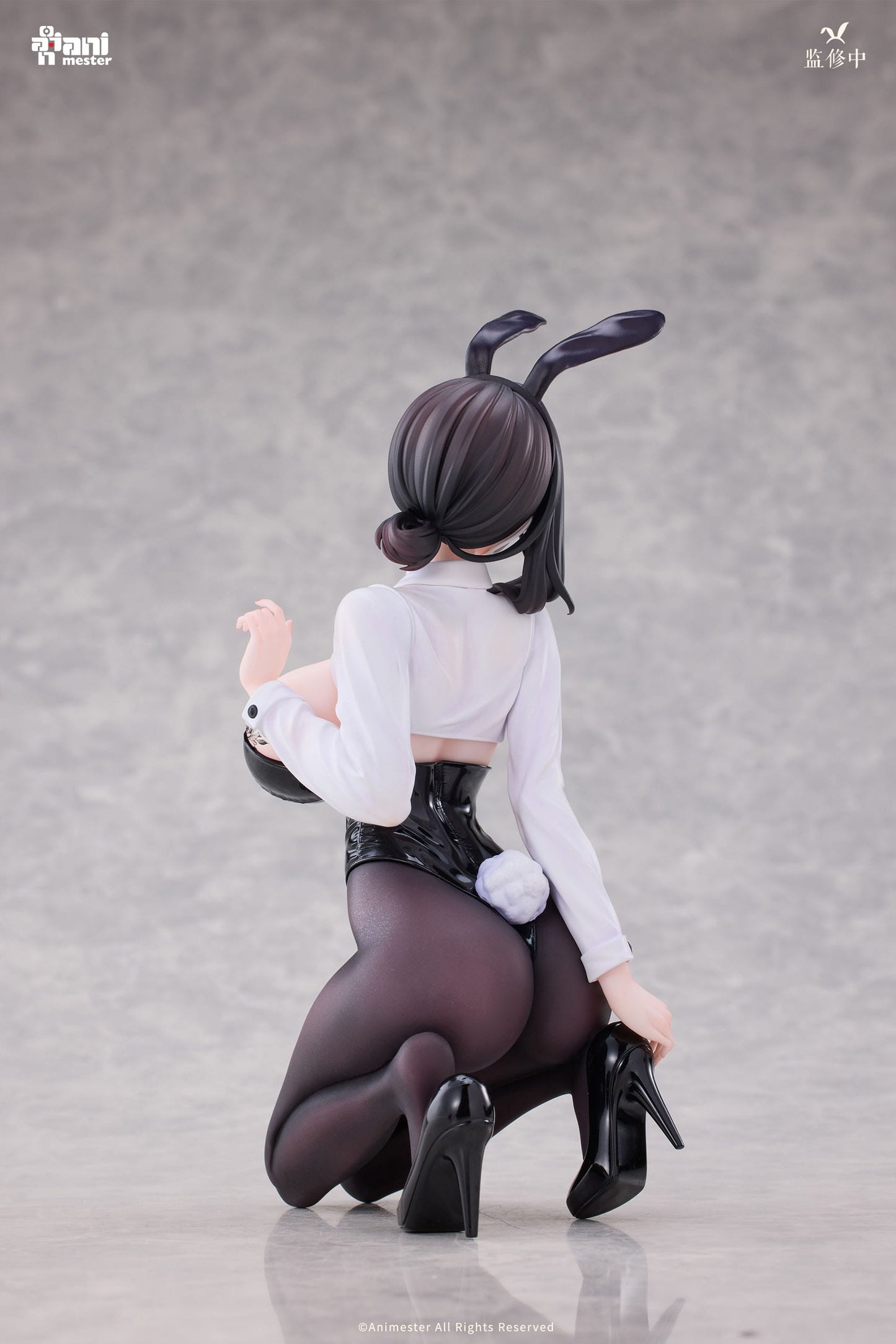 Dongtan Bunny Girl Original Character AnimMeser