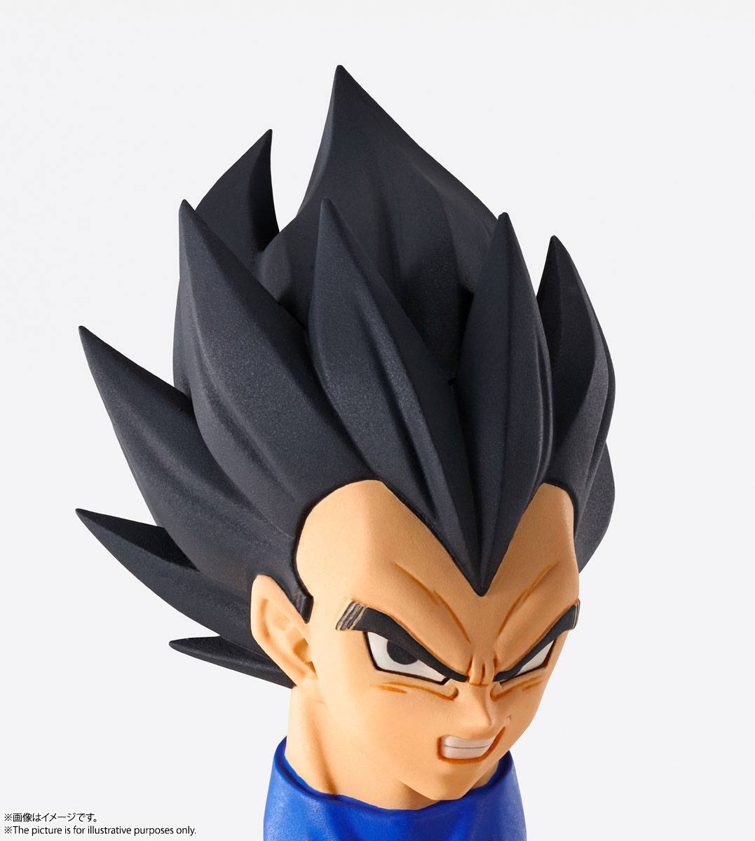Vegeta Imagination Works Bandai Tamashii Nations