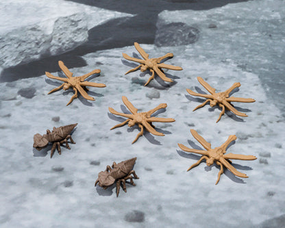 Megaguirus Evolution Set S.H. Monster Arts Bandai Tamashii Nations