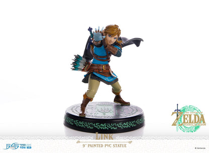 Link The Legend of Zelda: Tears of the Kingdom First 4 Figures
