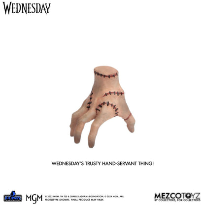 Wednesday & Enid - 5 Points - Boxed Set - Mezgo