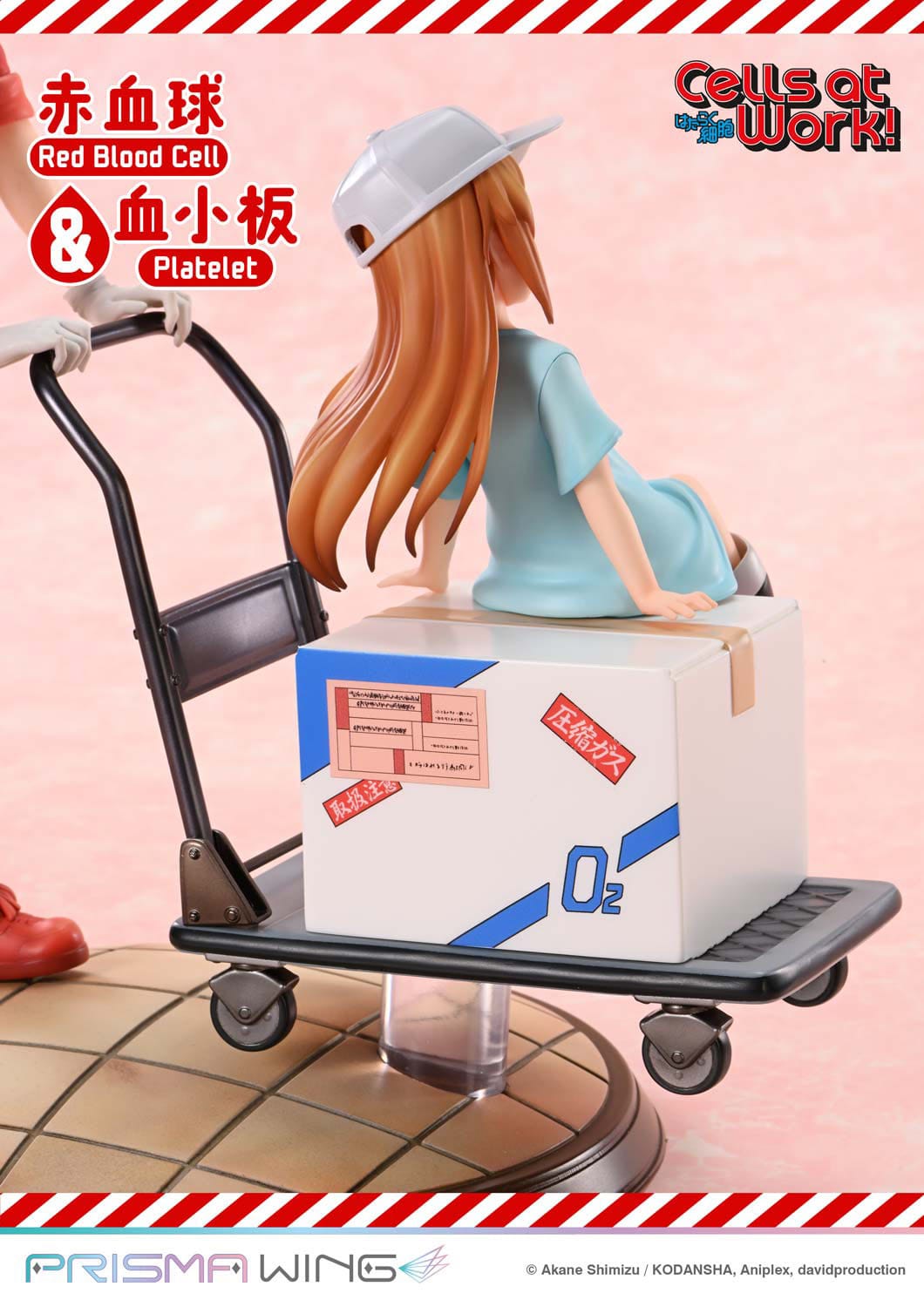 Red Blood Cell & Platelet Prisma Wing Prime 1 Studio