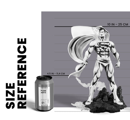 Superman Black &amp; White Version Pure Arts