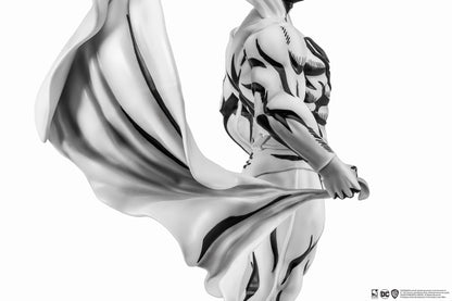 Superman Black &amp; White Version Pure Arts