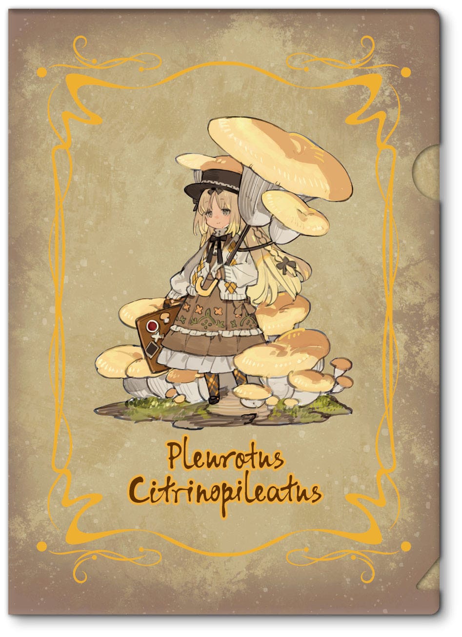 Serie No.3 Pleurotus Citrinopileatus Reverse Studio