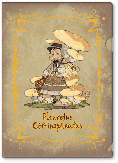 Serie No.3 Pleurotus Citrinopileatus Reverse Studio