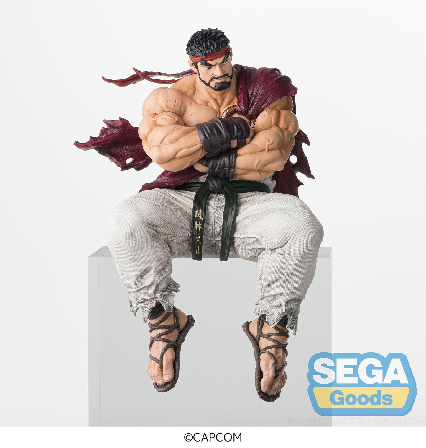 Ryu PM Perching Sega