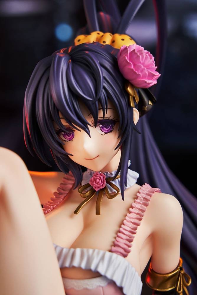 Himejima Akeno: Light Novel 15th Anniversary ver. AMI AMI LIMITED Kadokawa