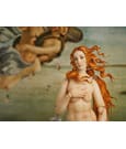 The Table Museum Figma Actionfigur Botticelli´s The Birth of Venus - Beschädigte Verpackung - Anime Figuren günstig kaufen