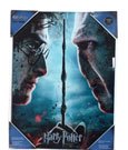 Harry Potter Glasposter Harry & Voldemort 30 x - Anime Figuren günstig kaufen