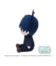 Jujutsu Kaisen Fuwa Petit Plüschfigur Megumi Fushiguro - Anime Figuren günstig kaufen