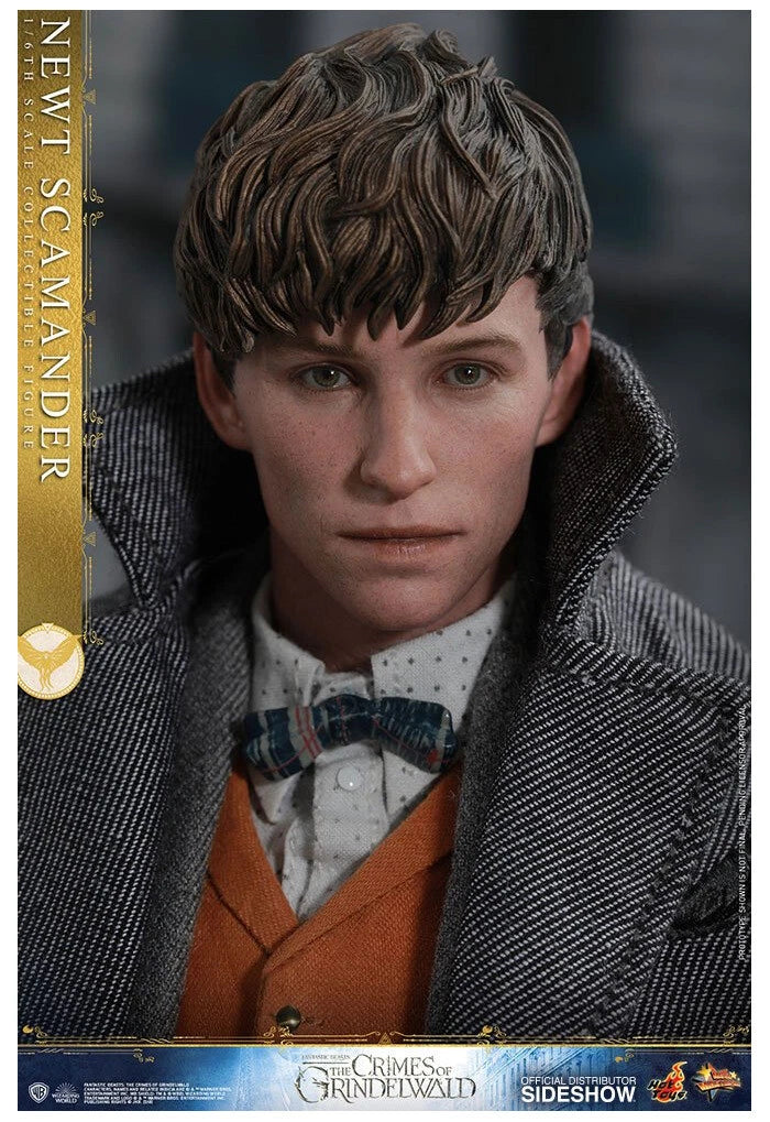 Newt Scamander 1/6 Scale Collectible Figure – Hot Toys (Fantastic Beasts: The Crimes of Grindelwald)