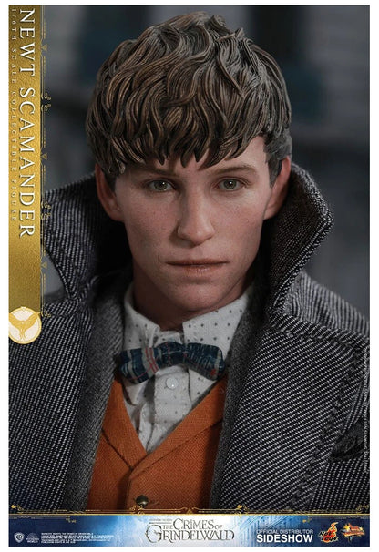 Newt Scamander 1/6 Scale Collectible Figure – Hot Toys (Fantastic Beasts: The Crimes of Grindelwald)