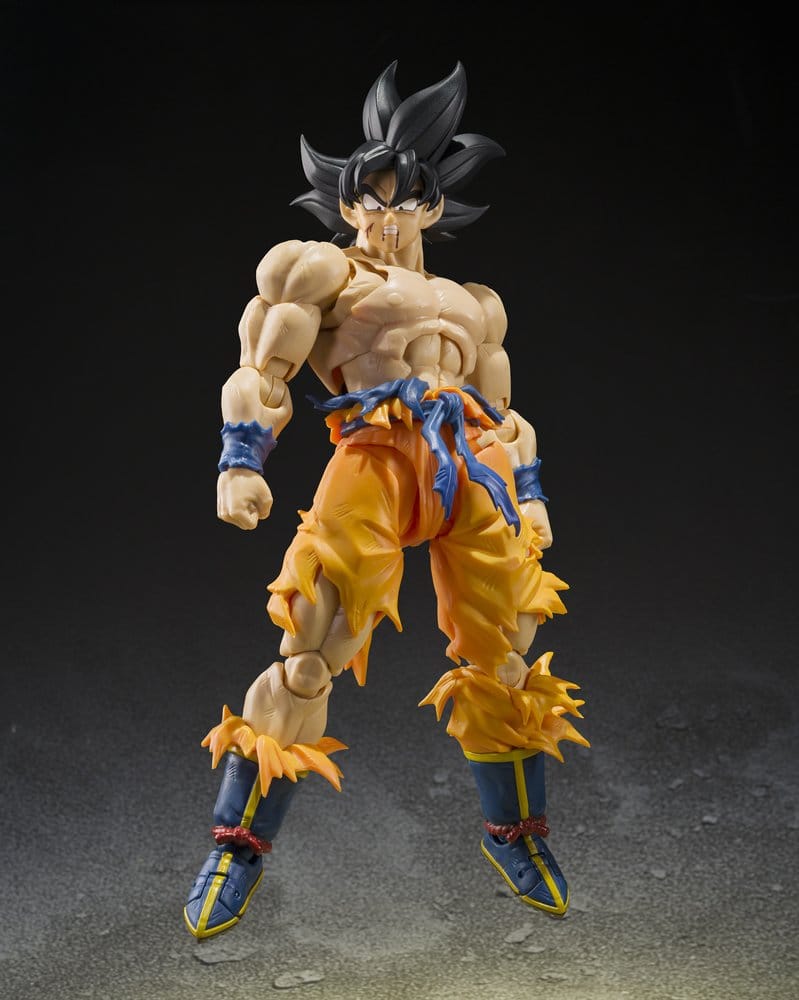 Anime Figuren günstig bei genkidama.de
