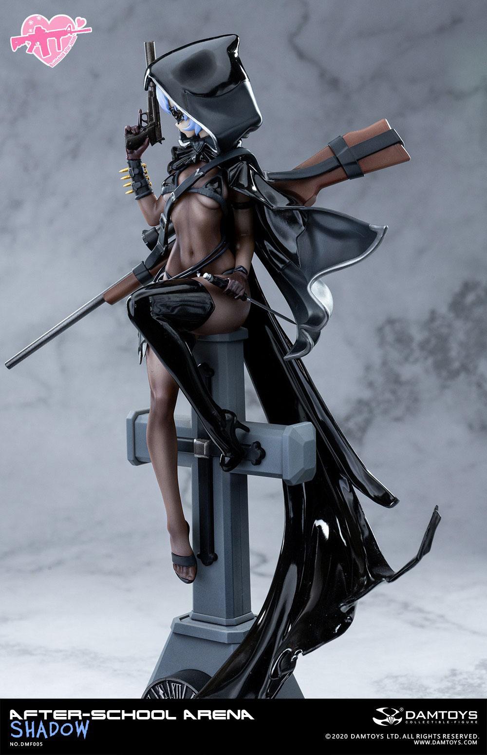 No. 5 Shadow After-School Arena Damtoys