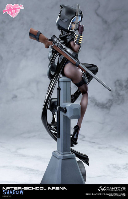 No. 5 Shadow After-School Arena Damtoys