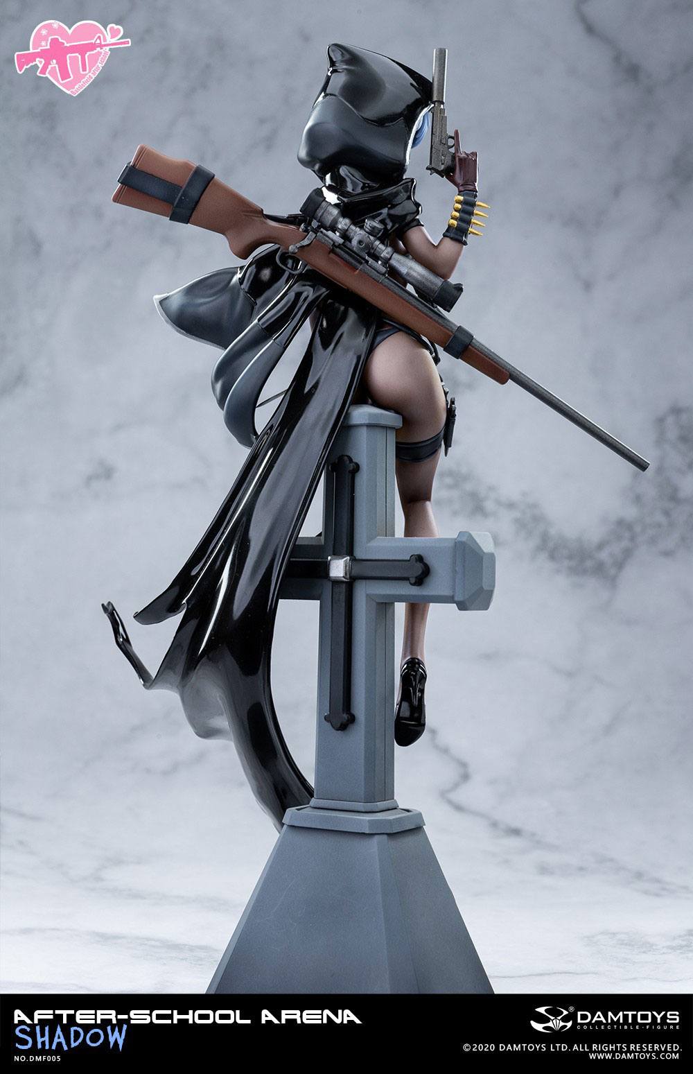 No. 5 Shadow After-School Arena Damtoys