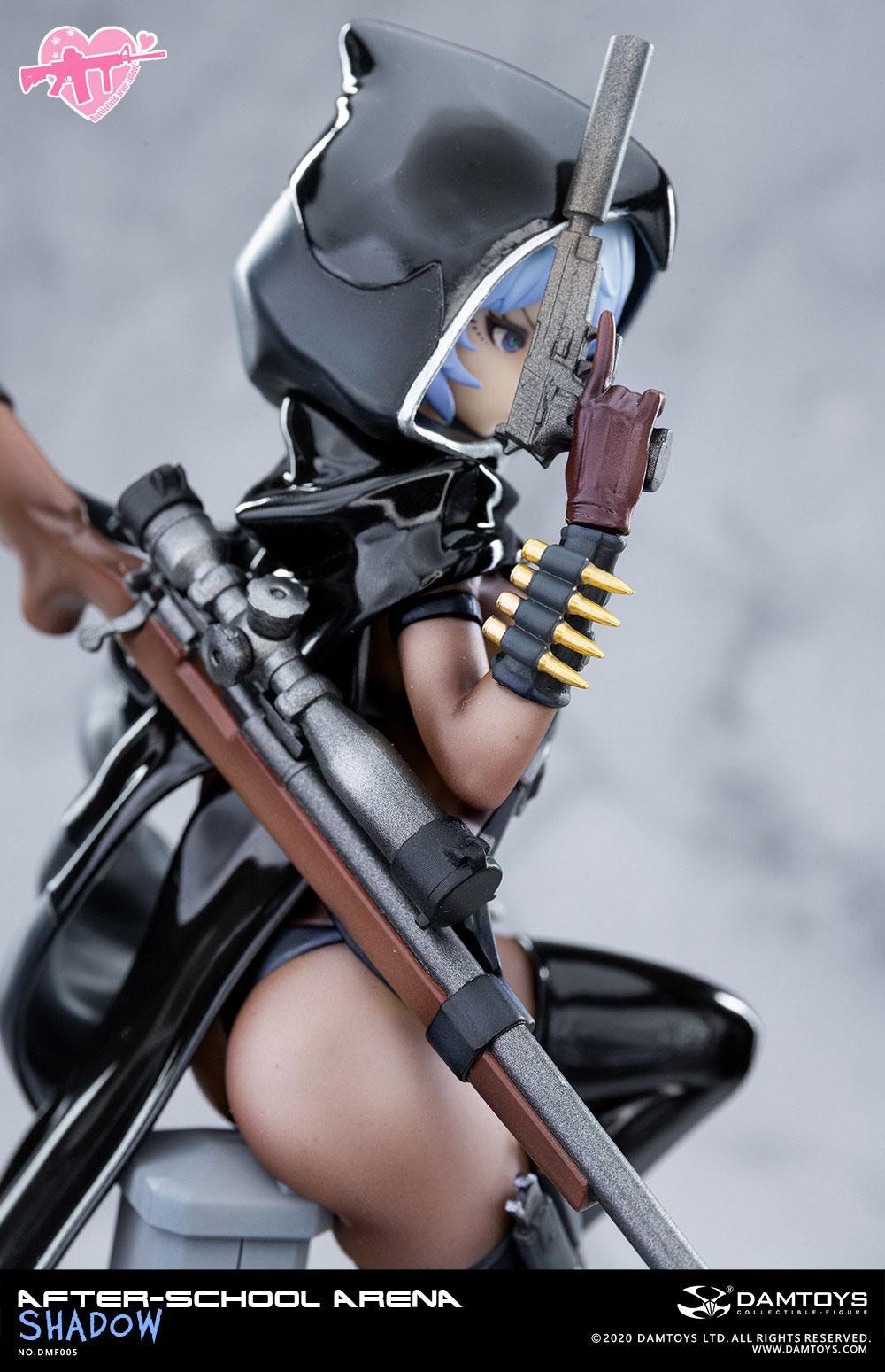 No. 5 Shadow After-School Arena Damtoys