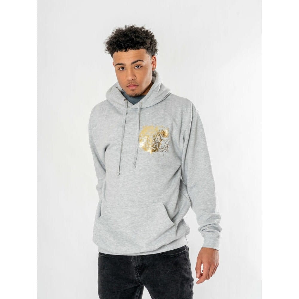Harry Potter Kapuzenpullover Gryffindor Zodiac - Anime Figuren günstig kaufen